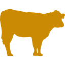 Bull silhouette — the story